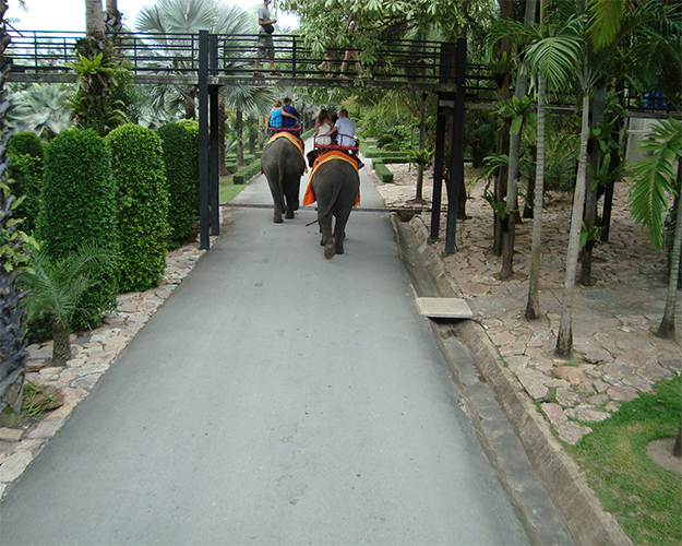 ركوب الأفيال 2