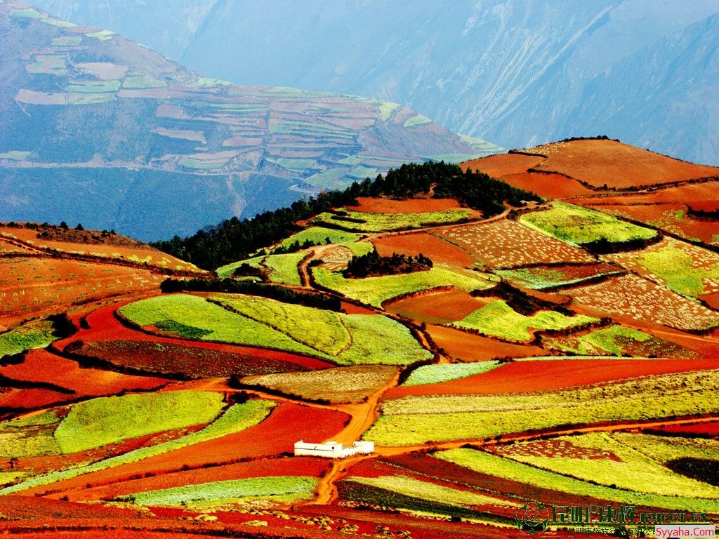 Incredible Mountain View