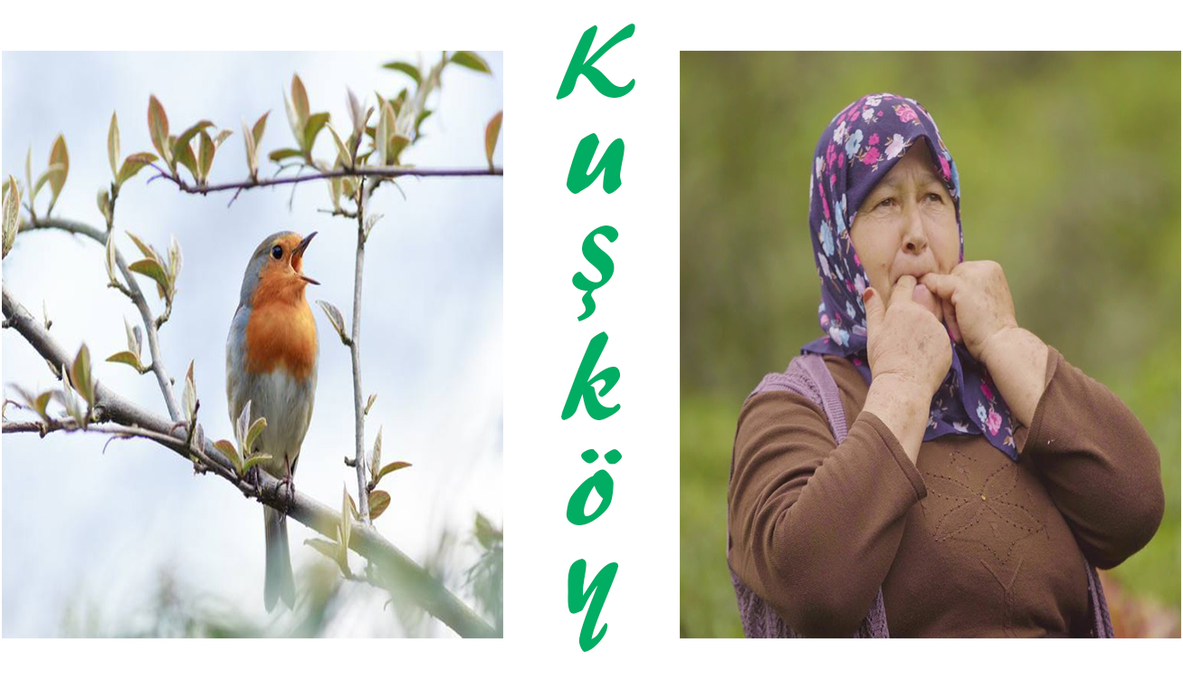 كوش كوي – قرية الطيور Kuşköy