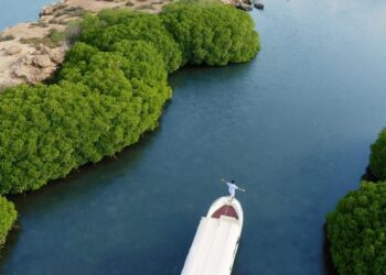 ُجزر”فرسان” المرجانية تجارب مستدامة للغوص والغطس البحري