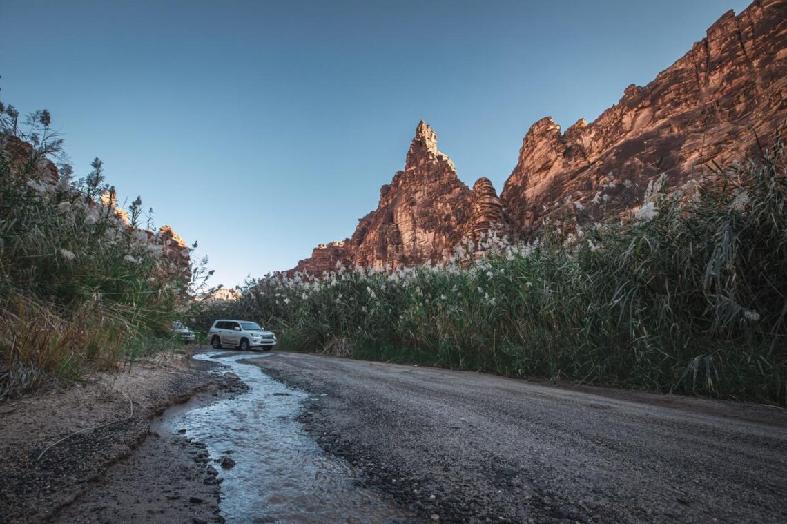 عراقة التاريخ وسحر الطبيعة .. “الديسة” وجهة سياحية في “شتاء السعودية”