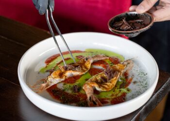INDULGE IN CULINARY OPULENCE AT AMÒ AT VIA TOLEDO