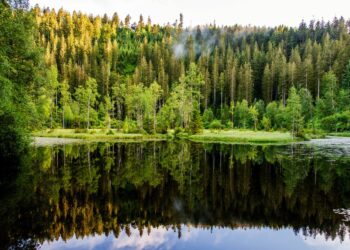 Summer Adventures in Germany: Five Experiences Not to Miss