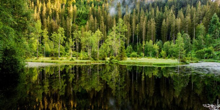 Summer Adventures in Germany: Five Experiences Not to Miss