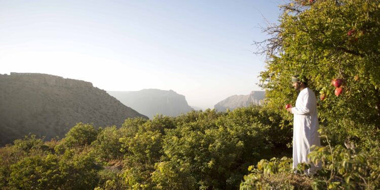 استكشف سحر موسم الرمان في أنانتارا الجبل الأخضر
