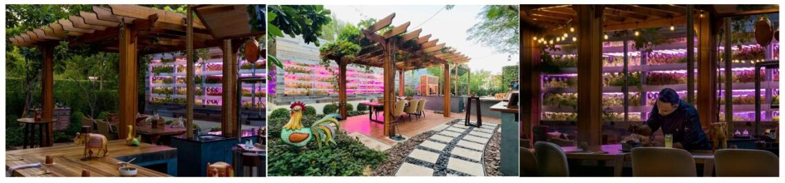 عودة “أركاديا من آمالا” لموسم الشتاء في جميرا زعبيل سراي: لقاء النكهات الهندية الأصيلة ببراعة الطهي العصرية