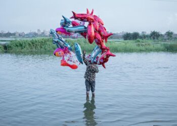 القائمة الكاملة للفائزين بجوائز سوني العالمية للتصوير الفوتوغرافي لعام 2026